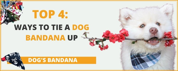 Dog-Bandana-Top-4-ways-to-tie-it-up
