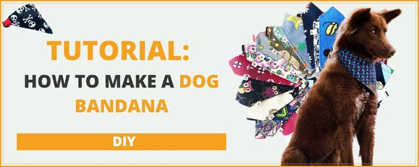 How-to-make-a-dog-bandana-tutorial