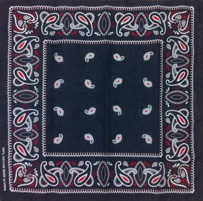 Hip-Hop-Bandana-paisley