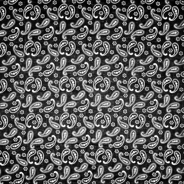 Paisley Bandana RoyalBandana™