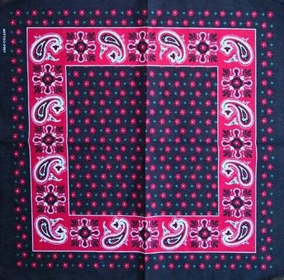 Paisley-Pink-Bandana-print