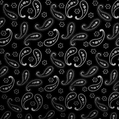 paisley-print-bandana